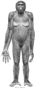 Humankind’s Oldest Relative — To Date