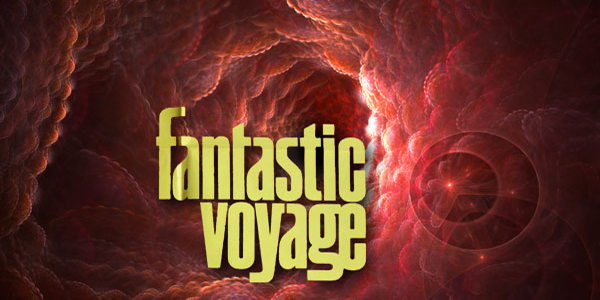 fantastic voyage remake